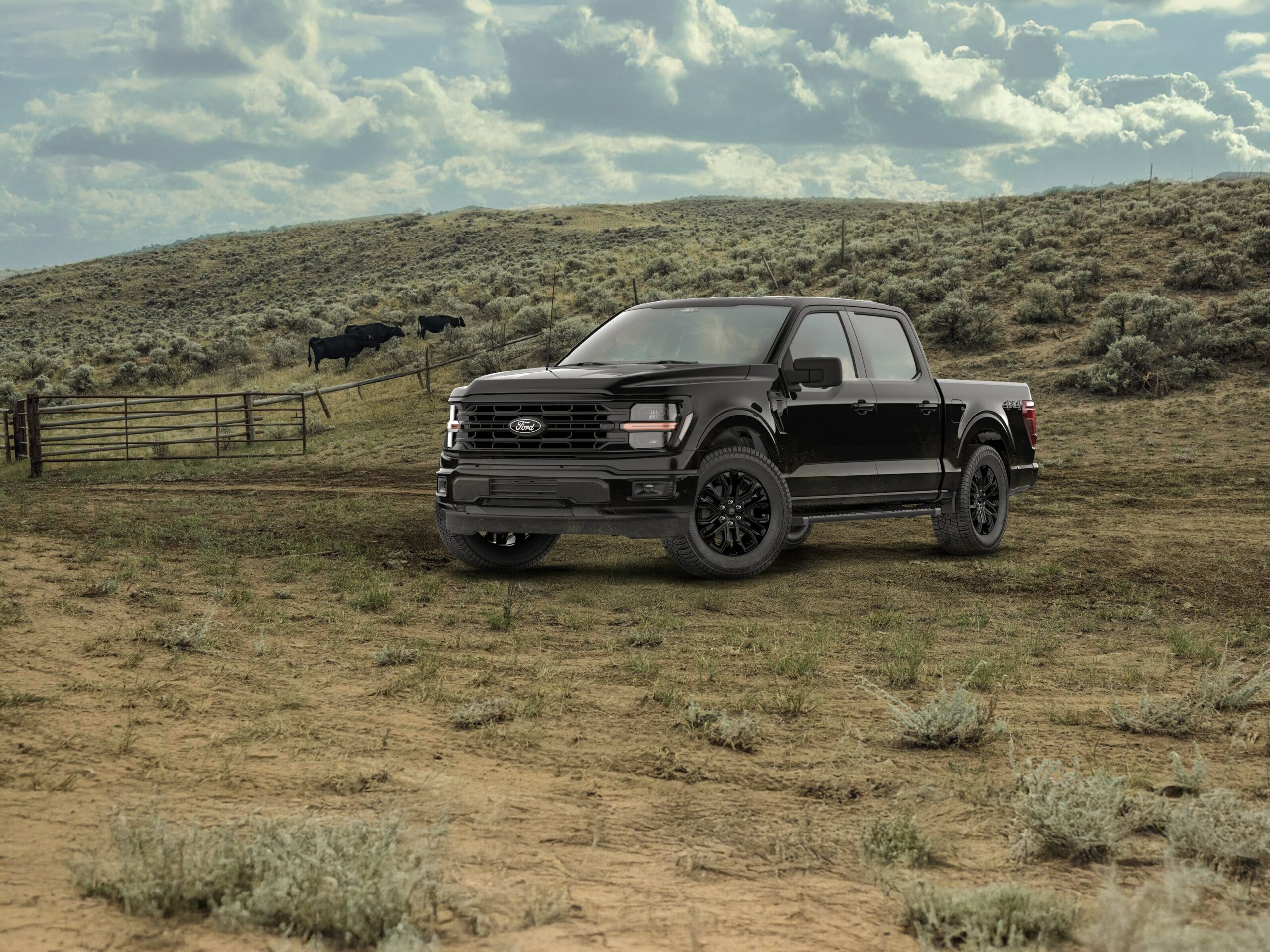 A black 2026 Ford F-150 XLT with the Black Appearance Package parked on open ranch land, cattle grazing behind a wooden fence