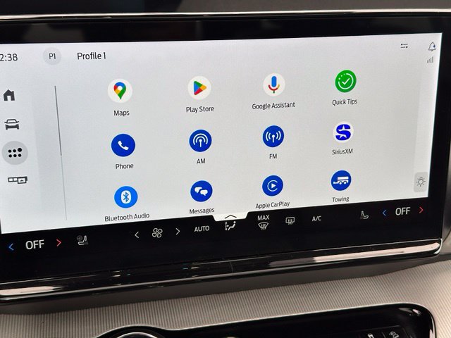 2025 Ford Expedition Active — photo 32 of 41