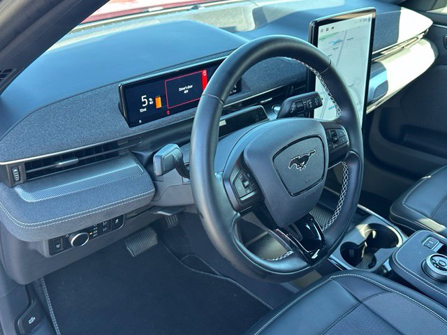 2024 Ford Mustang Mach-E GT — photo 19 of 32