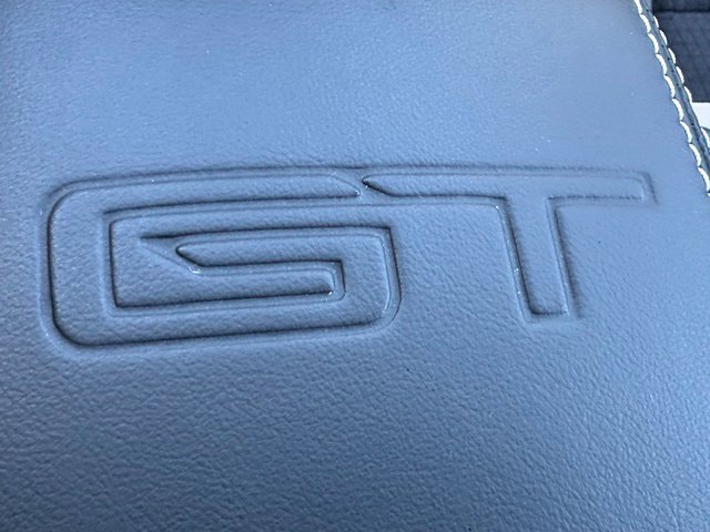 2024 Ford Mustang Mach-E GT — photo 20 of 32