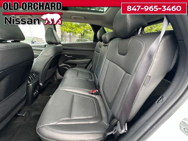 2025 Hyundai Tucson Limited — photo 13 of 22