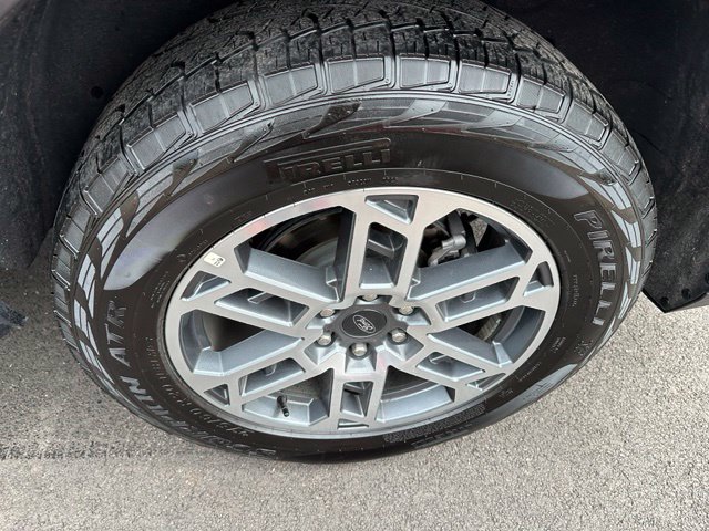 2025 Ford Expedition Active — photo 8 of 41