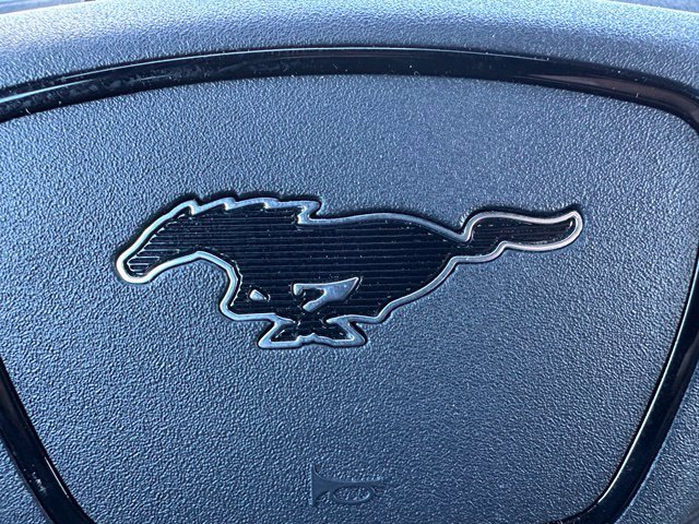 2024 Ford Mustang Mach-E GT — photo 32 of 32