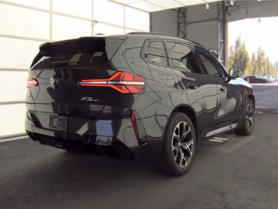 2025 BMW X3 30 xDrive — photo 3 of 10