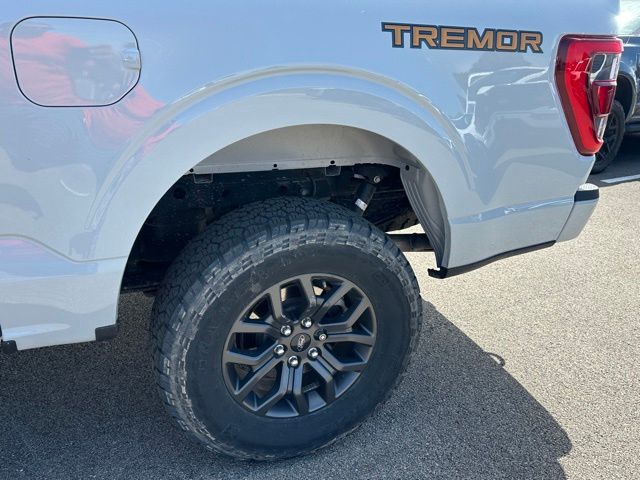 2023 Ford F-150 Tremor — photo 8 of 29