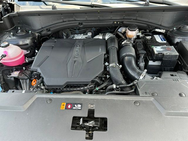 2024 Hyundai Santa Fe Calligraphy — photo 9 of 49
