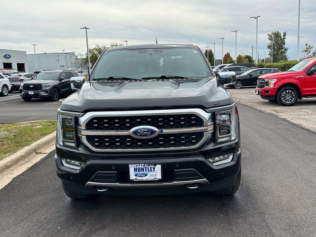 2023 Ford F-150 Platinum — photo 3 of 32