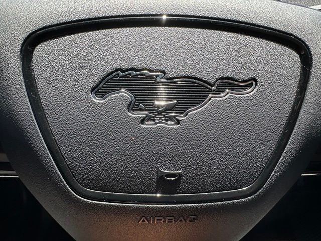 2023 Ford Mustang Mach-E GT — photo 33 of 33