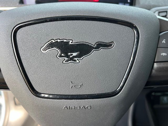 2024 Ford Mustang Mach-E GT — photo 37 of 37