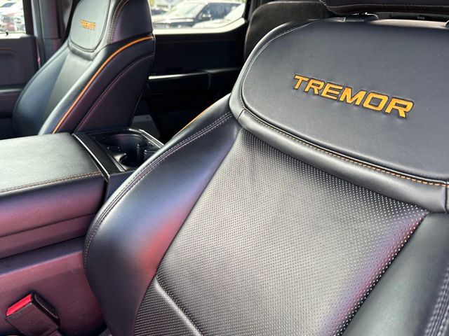 2023 Ford F-150 Tremor — photo 14 of 29