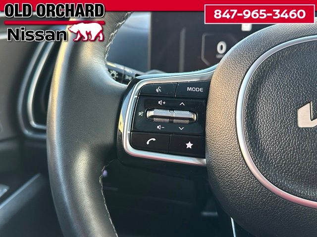 2025 Kia Sorento Hybrid SX Prestige — photo 19 of 22