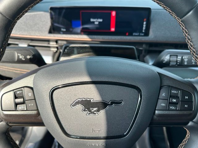 2022 Ford Mustang Mach-E GT — photo 35 of 36