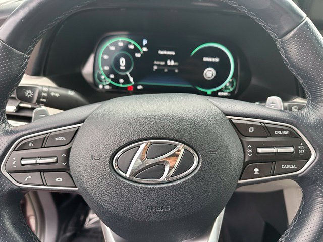 2021 Hyundai Palisade Calligraphy — photo 38 of 41