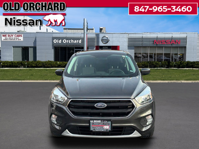 2019 Ford Escape SE — photo 2 of 20
