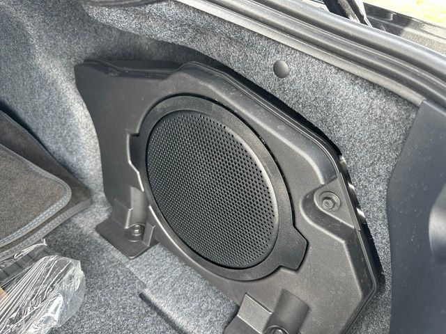 2024 Ford Mustang Dark Horse — photo 14 of 27