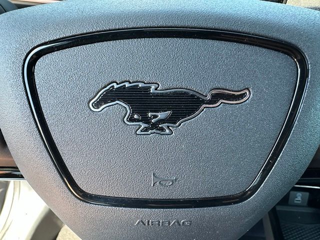 2023 Ford Mustang Mach-E GT — photo 35 of 35