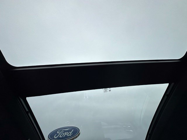 2023 Ford Escape ST-Line Elite — photo 17 of 31