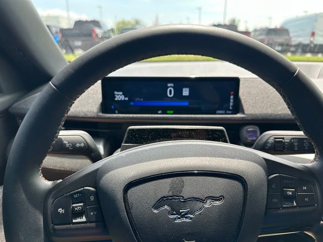 2023 Ford Mustang Mach-E GT — photo 25 of 26