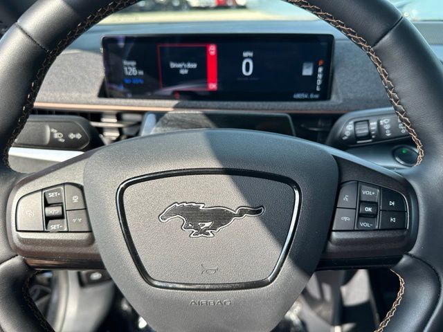 2022 Ford Mustang Mach-E GT — photo 36 of 38