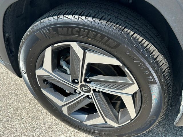 2024 Hyundai Tucson Hybrid Limited — photo 8 of 40