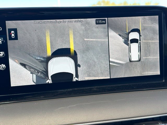 2025 Hyundai Palisade Calligraphy — photo 39 of 43