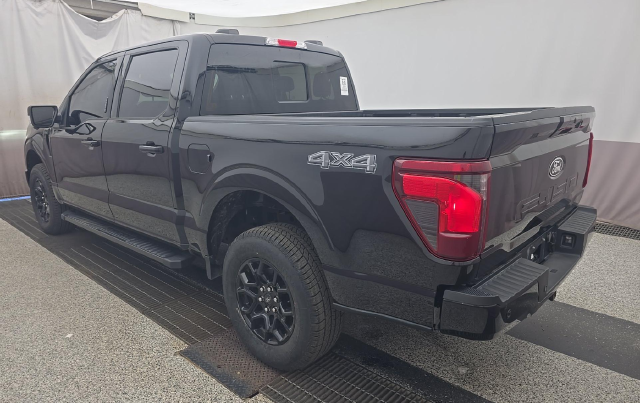 2024 Ford F-150 XLT — photo 4 of 8