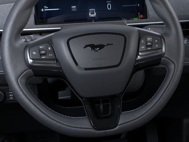 2025 Ford Mustang Mach-E GT — photo 13 of 52