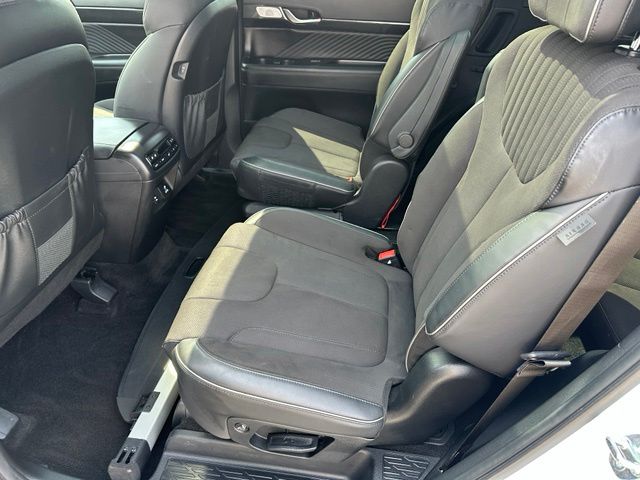 2024 Hyundai Palisade Calligraphy Night Edition — photo 18 of 41
