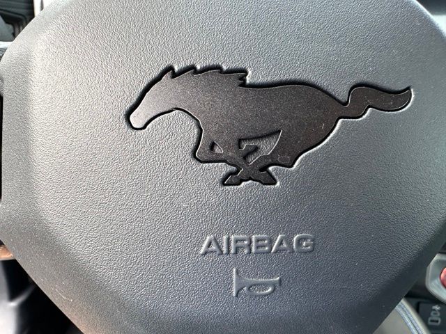 2024 Ford Mustang Dark Horse — photo 27 of 27