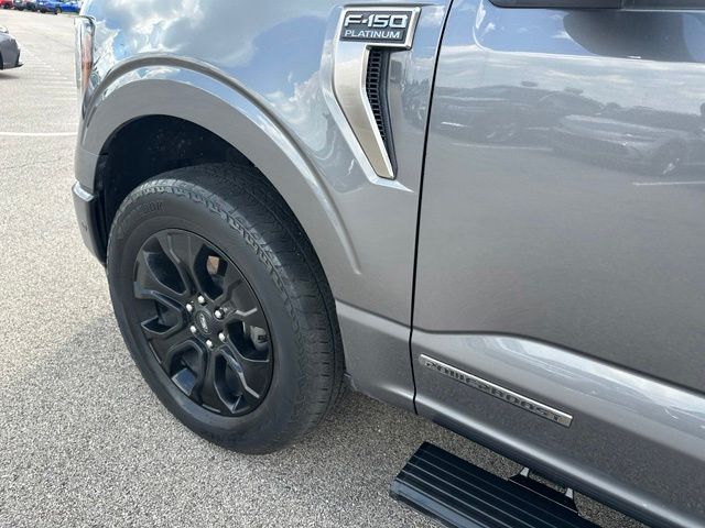 2023 Ford F-150 Platinum — photo 8 of 33