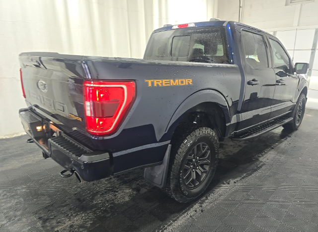 2023 Ford F-150 Tremor — photo 3 of 9