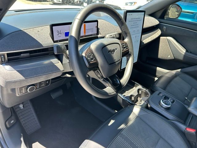 2023 Ford Mustang Mach-E GT — photo 20 of 33