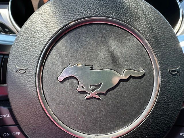 2021 Ford Mustang Ecoboost Premium — photo 21 of 21