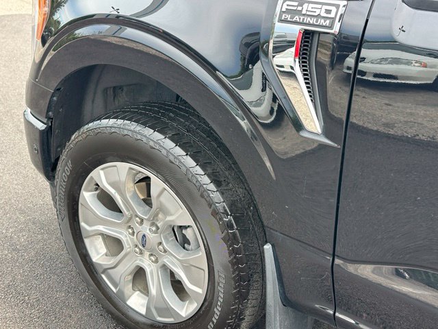 2023 Ford F-150 Platinum — photo 9 of 32