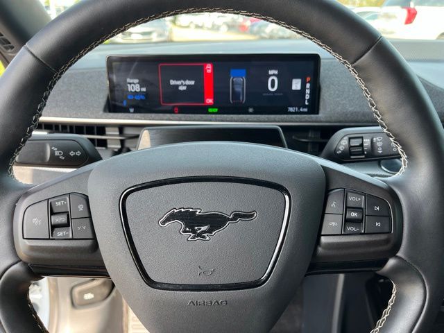 2024 Ford Mustang Mach-E GT — photo 35 of 37
