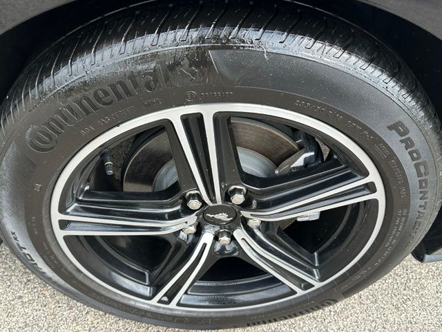 2024 Ford Mustang Ecoboost Premium — photo 8 of 25