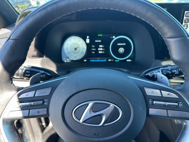 2025 Hyundai Palisade Calligraphy — photo 40 of 43