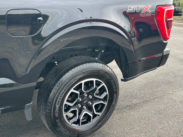 2023 Ford F-150 XL — photo 6 of 17