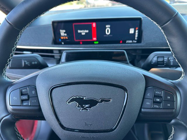 2024 Ford Mustang Mach-E GT — photo 30 of 32