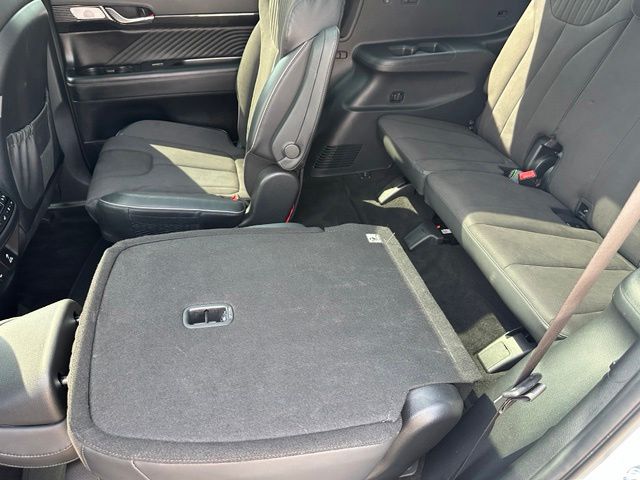 2024 Hyundai Palisade Calligraphy Night Edition — photo 17 of 41