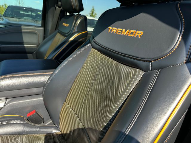 2023 Ford F-150 Tremor — photo 22 of 39
