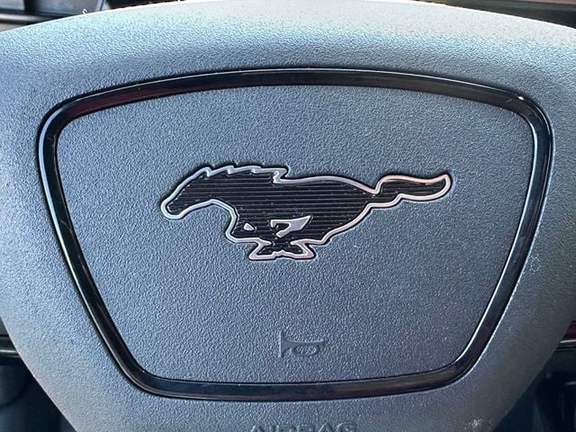 2023 Ford Mustang Mach-E GT — photo 37 of 37