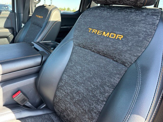 2023 Ford F-150 Tremor — photo 20 of 37