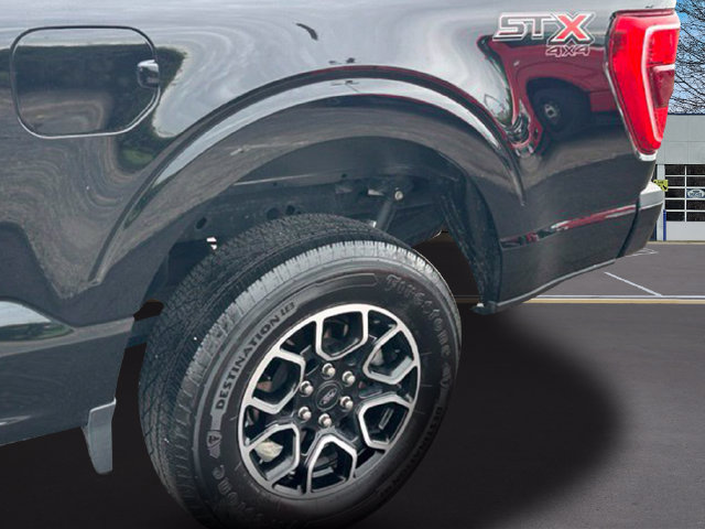 2023 Ford F-150 XL — photo 6 of 17