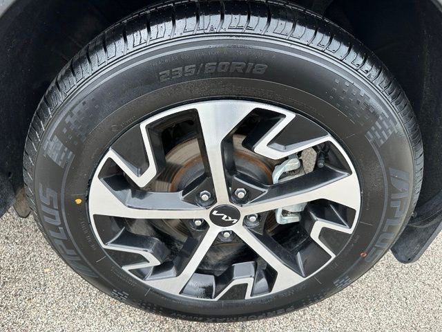 2024 Kia Sportage Hybrid EX — photo 8 of 31