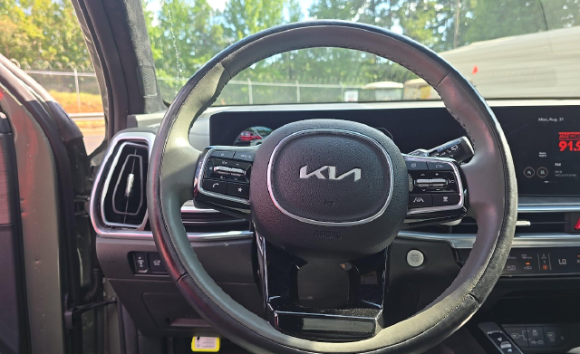 2024 Kia Sorento X-Line SX Prestige — photo 7 of 9