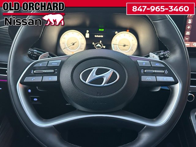 2025 Hyundai Palisade Calligraphy — photo 24 of 24