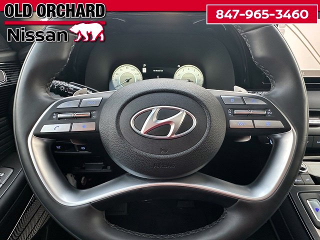 2025 Hyundai Palisade Calligraphy Night Edition — photo 22 of 22