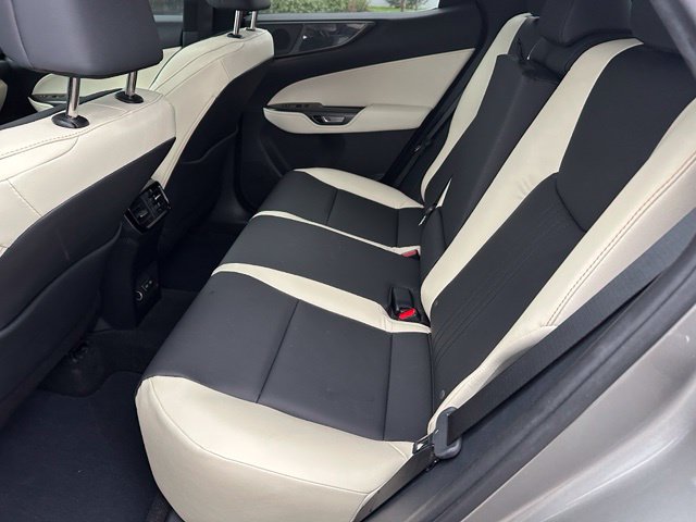 2024 LEXUS NX 350 Premium — photo 14 of 30