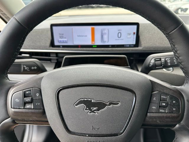 2023 Ford Mustang Mach-E Premium — photo 33 of 34